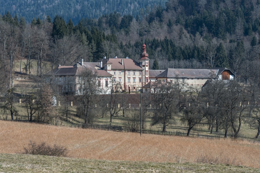 Maria Saal Meiselberg Schloss 13032015 0539