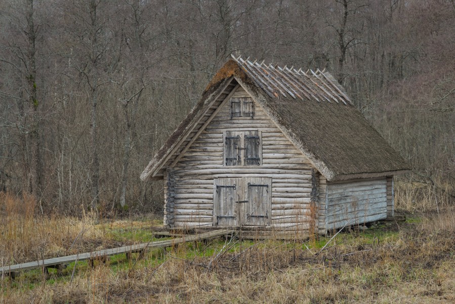 Matsalu metsas