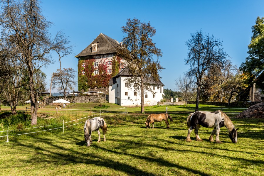 Moosburg Schloss 1 Schloss SW-Ansicht 02102017 1291