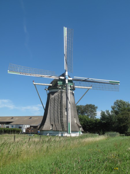 Moriaanshoofd, molen foto3 2011-07-03 16.07