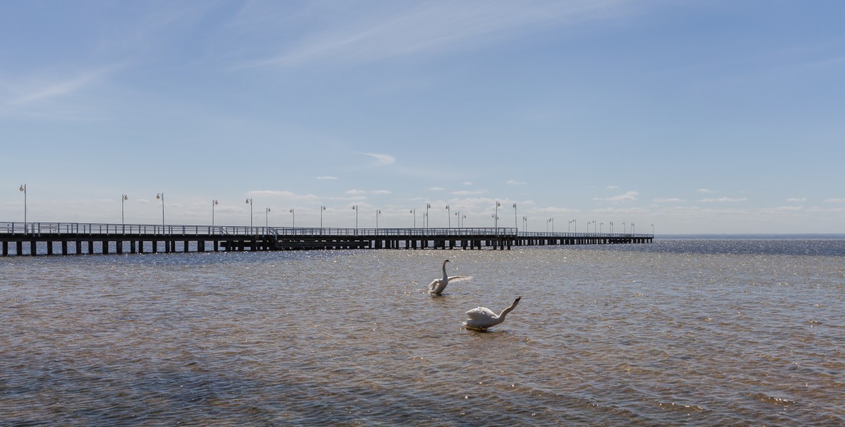 Muelle de Jurata, Península de Hel, Polonia, 2013-05-24, DD 13