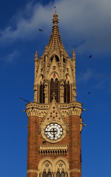 Mumbai 03-2016 39 University