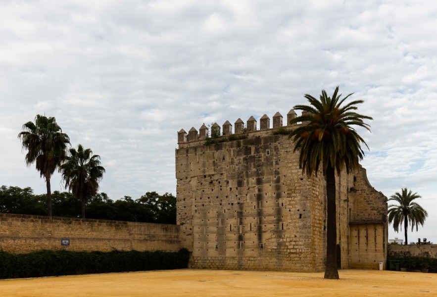 Muro del Alcázar, Jerez de la Frontera, España, 2015-12-07, DD 62
