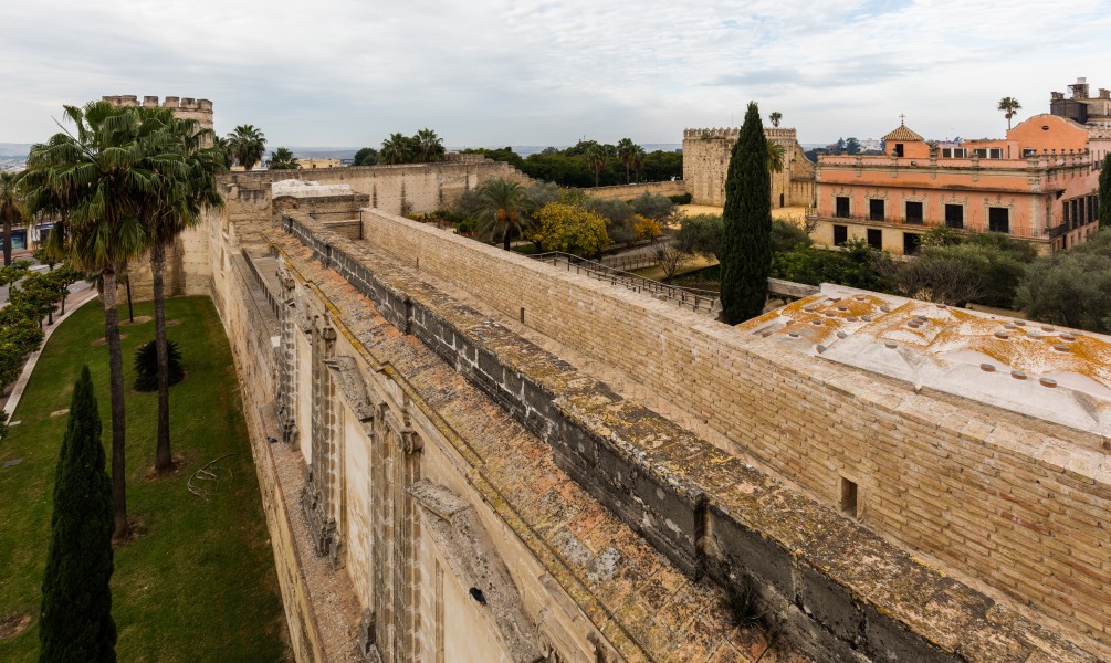 Muro del Alcázar, Jerez de la Frontera, España, 2015-12-07, DD 72
