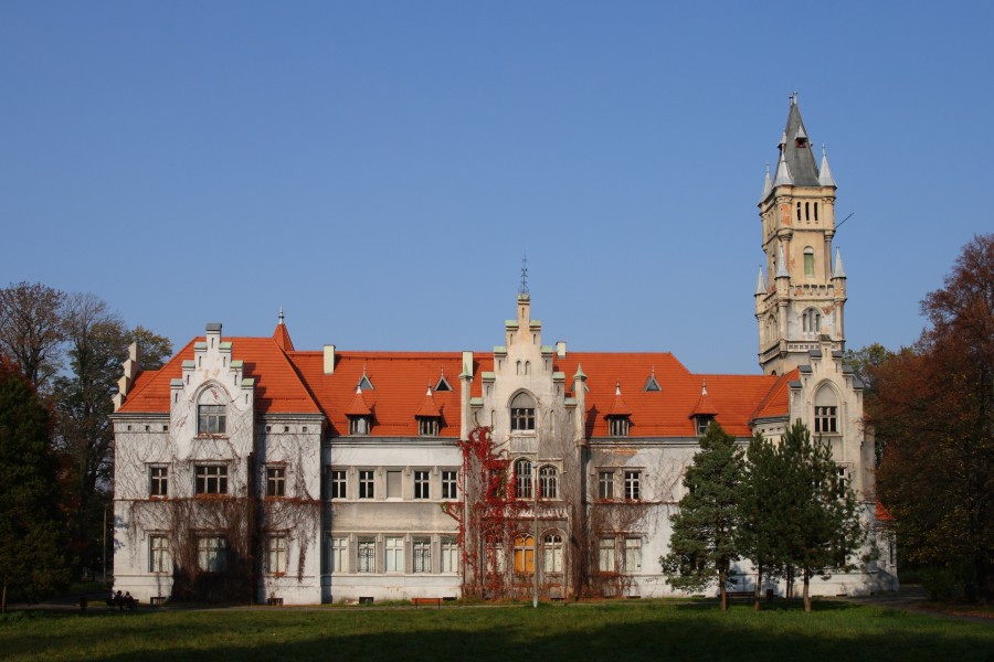 Nakło Śląskie - Pałac 01
