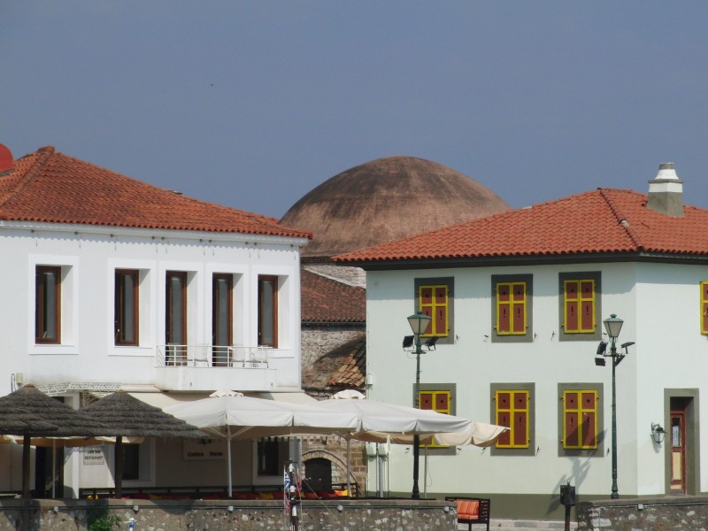 Naupactus