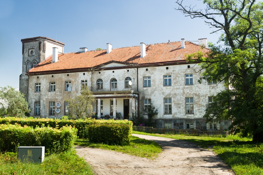 Nerwiki, pałac 02