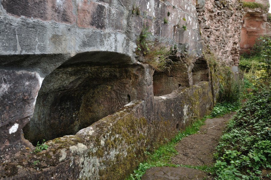 Neuscharfeneck 042