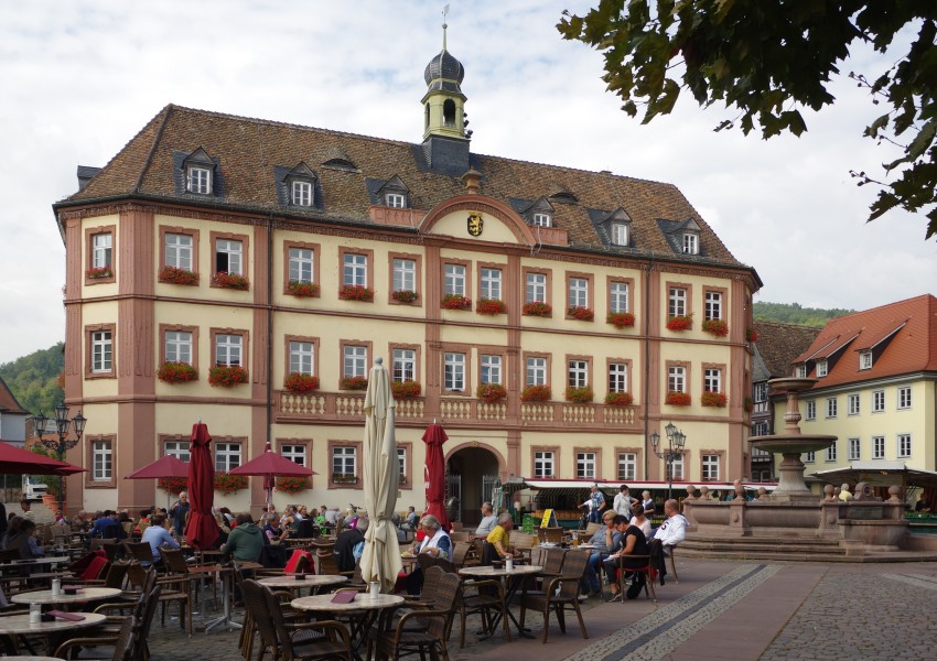 Neustadt an der Weinstrasse BW 2017-09-28 12-20-45