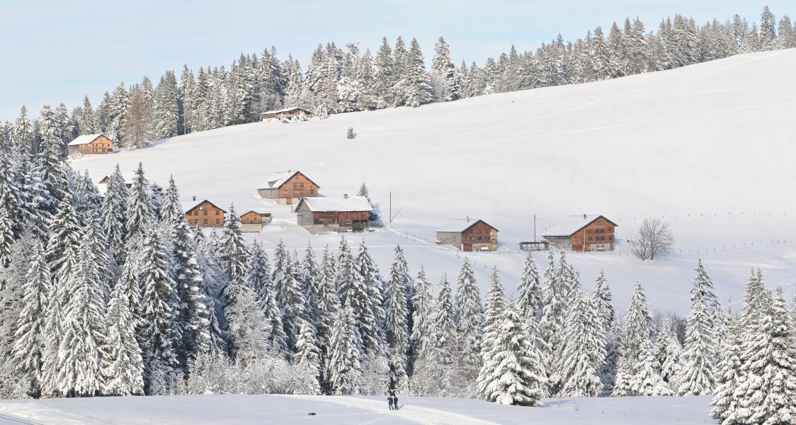 Oberer Geißkopf, Schwarzenberg Vorarlberg 4