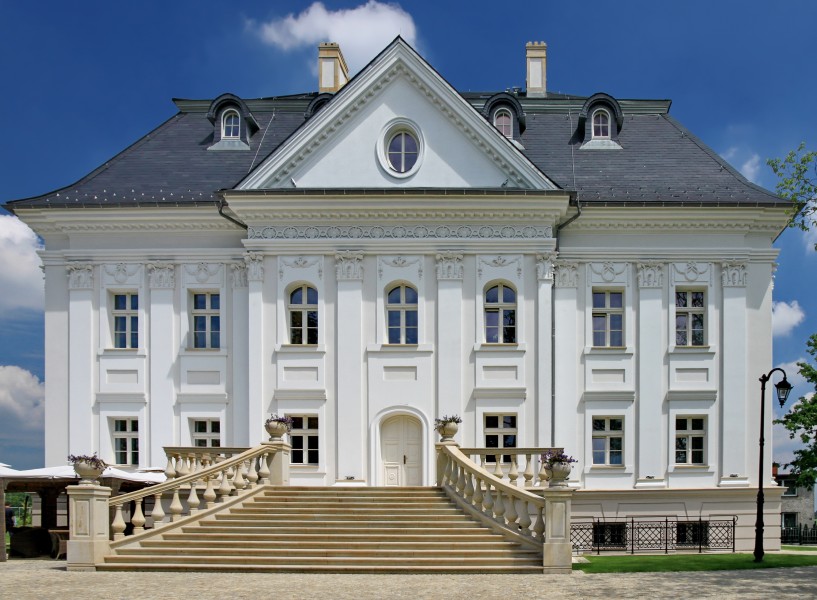 Pałac w Boryni 7