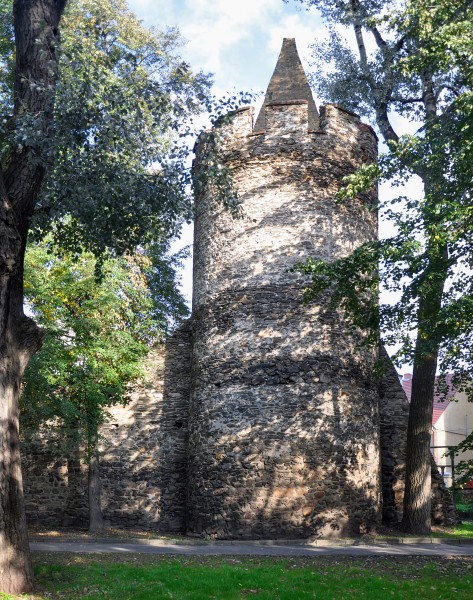Paczków, mury obronne, 15