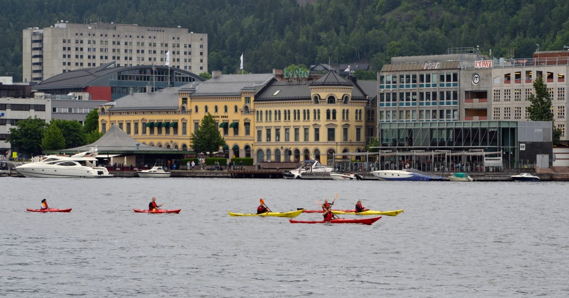 Padlere på Drammenselva (2)
