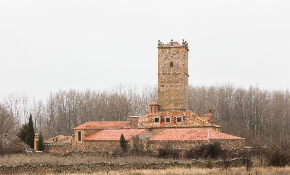 Palacio de Aldealseñor, Soria, España, 2016-01-03, DD 14