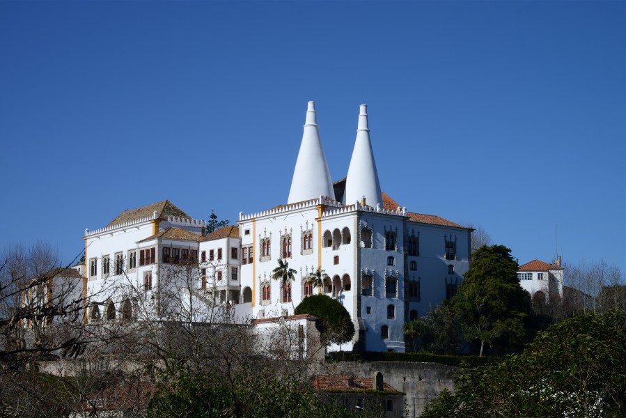 Palacio Sintra February 2015-13a