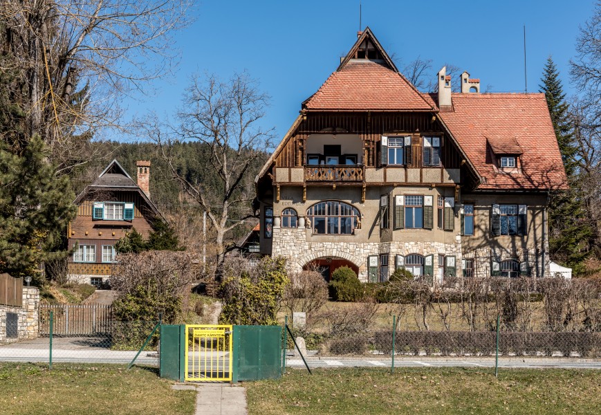 Poertschach Hauptstrasse 106 Villa Edelweiss und 108 Und-Haeuschen 08032017 6470