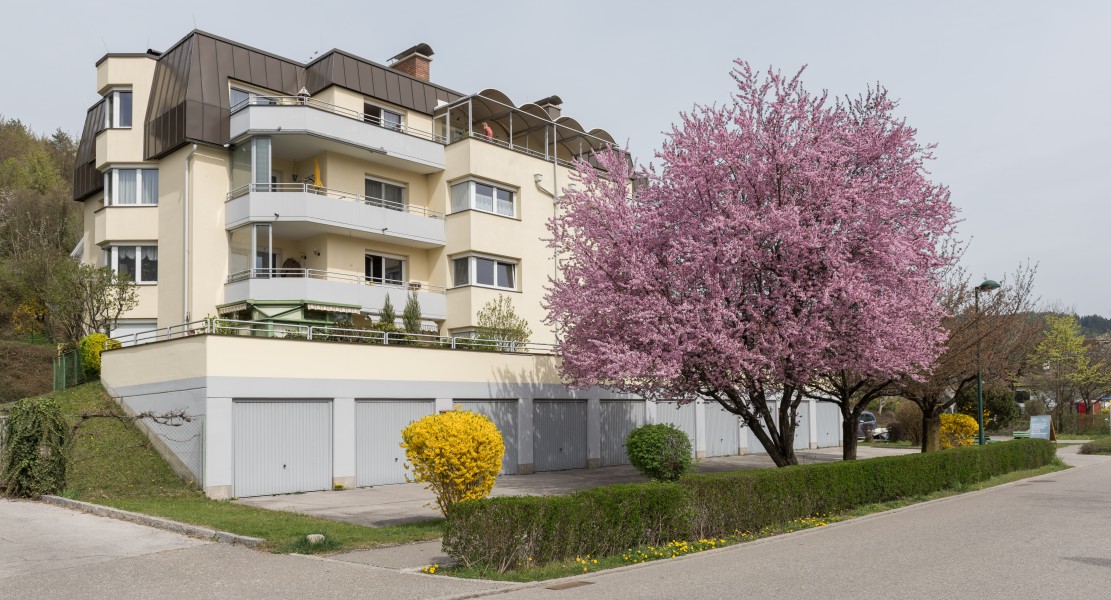 Poertschach Zehnte Oktoberstrasse 23 Appartementhaus und Zierpflaume 07042016 1177