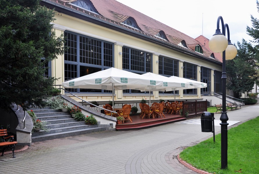 Polanica Zdrój, dom zdrojowy, 06