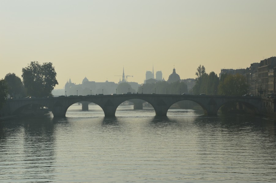 Pont Royal at dawn