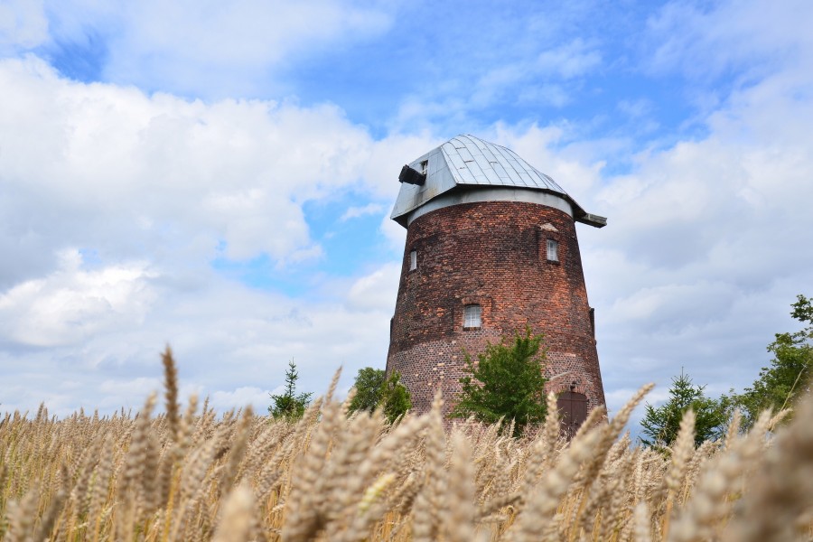 Radzyń-Wybudowanie, wiatrak holender