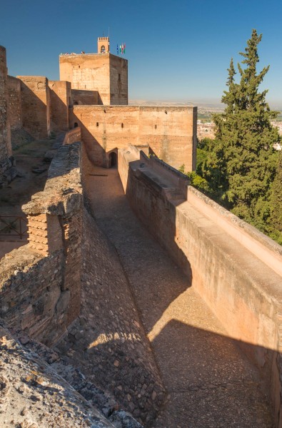 Remparts Alcazaba Alhambra Grenade