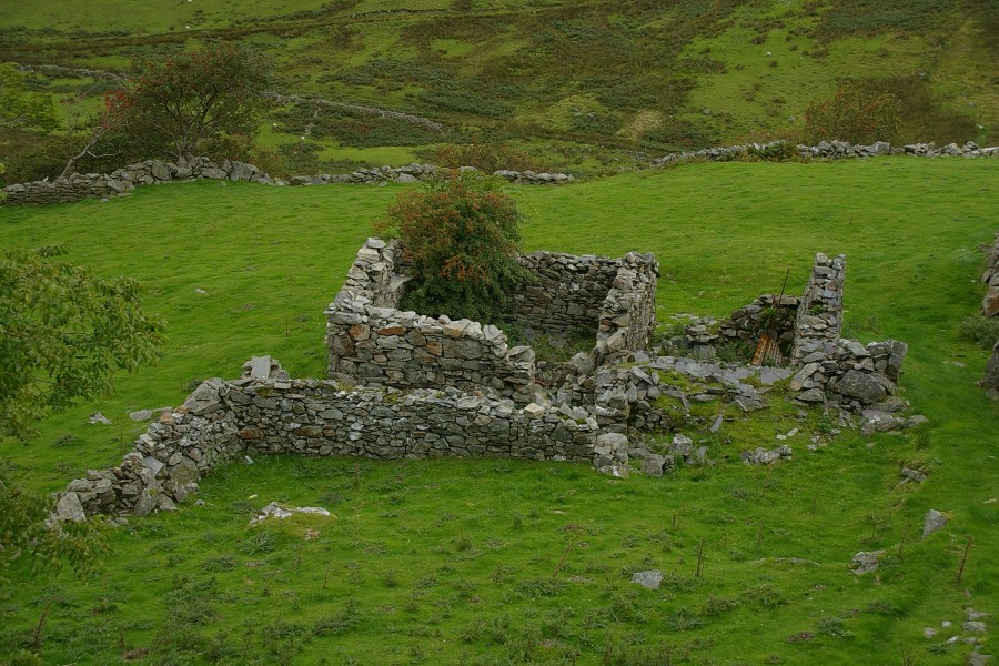 Rhyd Ddu sheep pen
