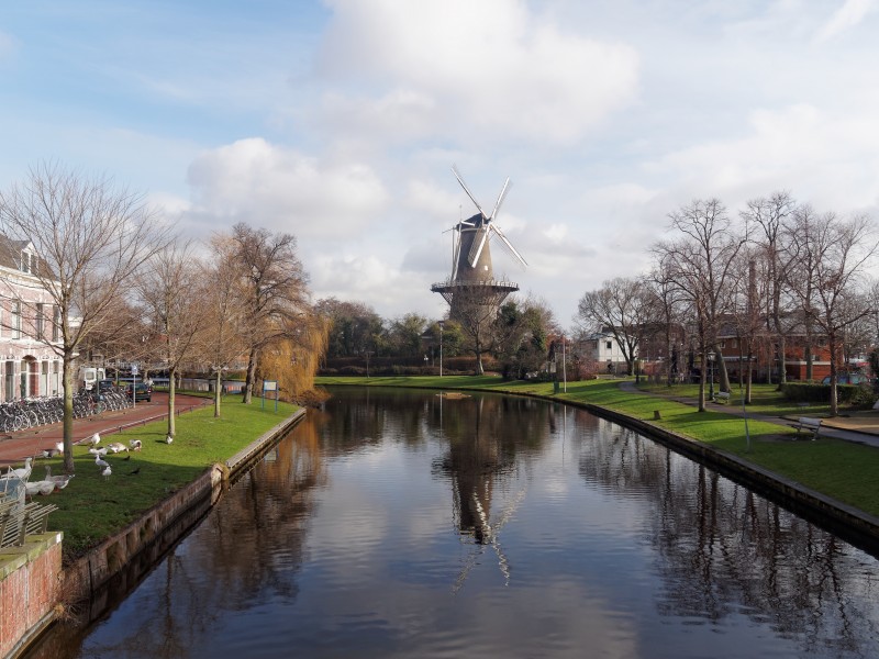 Rijnsburgersingel 6844