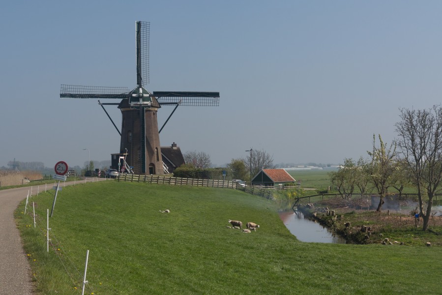 Rijpwetering, de Lijkermolen no.2 RM7129 foto5 2017-04-09 11.53
