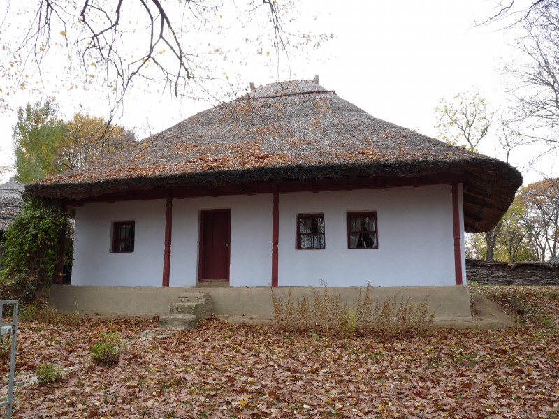 RO B Village Museum Curteni household house