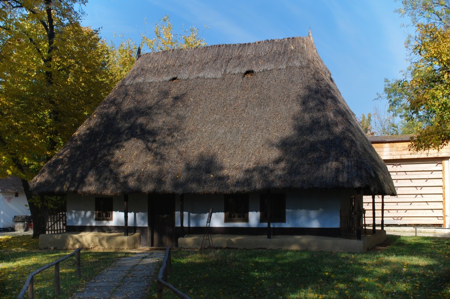 RO B Village museum Dumbraveni homestead 2