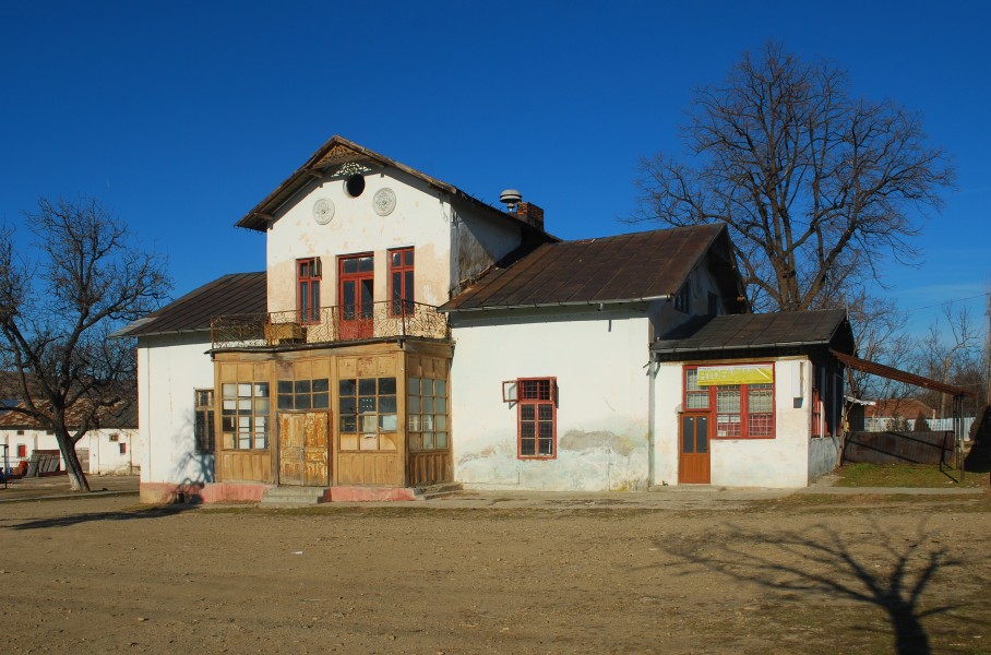 RO BZ Fundeni Marghiloman mansion 3