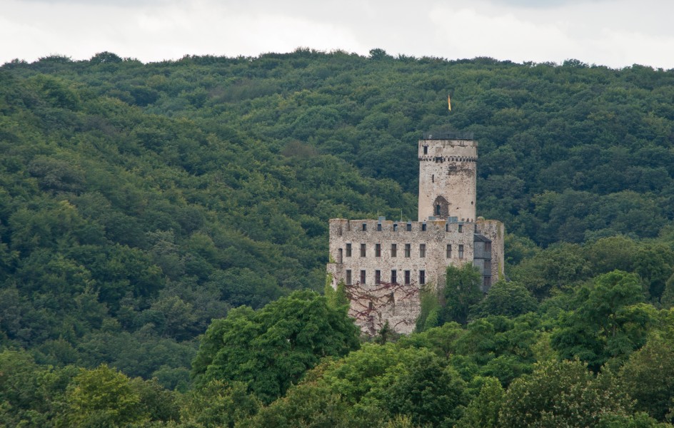 Roes, Burg Pyrmont, 2012-08 CN-02
