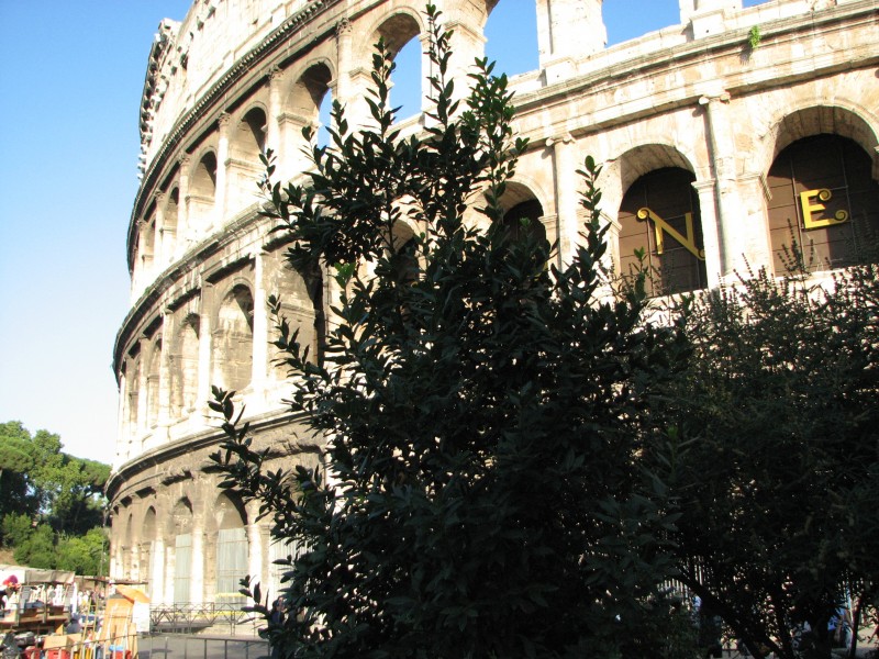 Rome