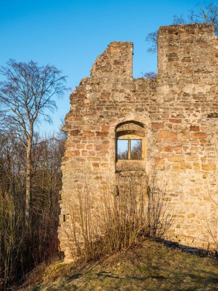 Ruine-Rauheneck-270216-2278389