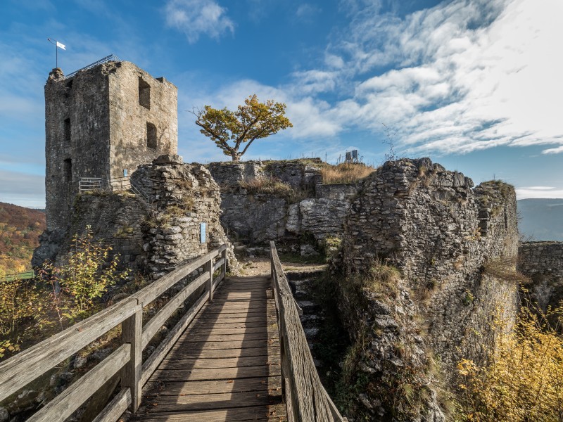 Ruine Neideck PA300138-PSD