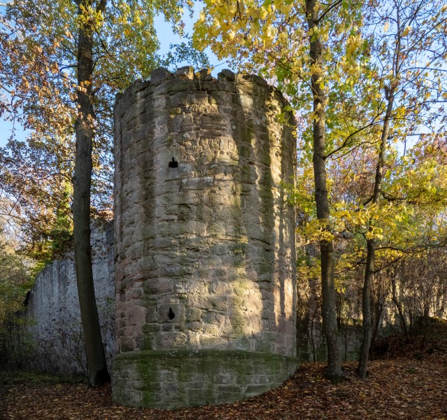 Ruine Schmachtenberg 011176