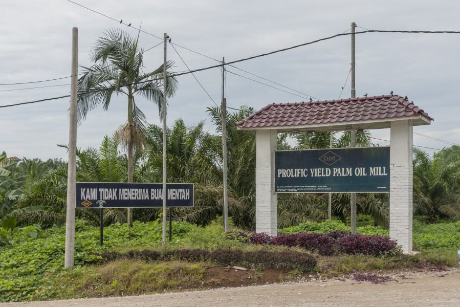 Sandakan Sabah Prolific-Yield-Palm-Oil-Mill-01