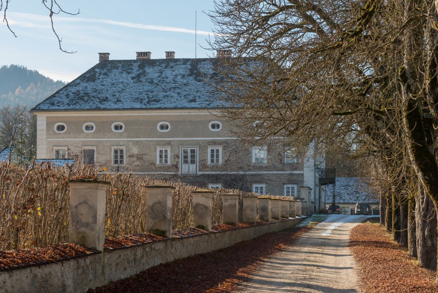 Sankt Georgen am Laengsee Niederosterwitz 2 Schloss 02122015 2393