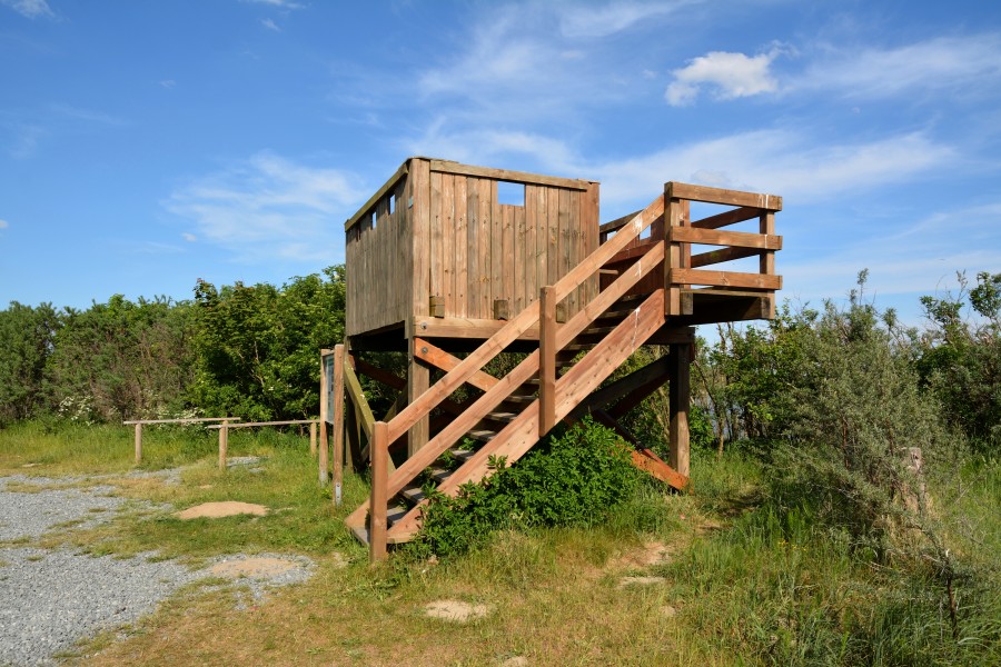 Schleswig-Holstein, Dithmarschen, Naturschutzgebiet Kronenloch Speicherkoog Dithmarschen NIK 2960