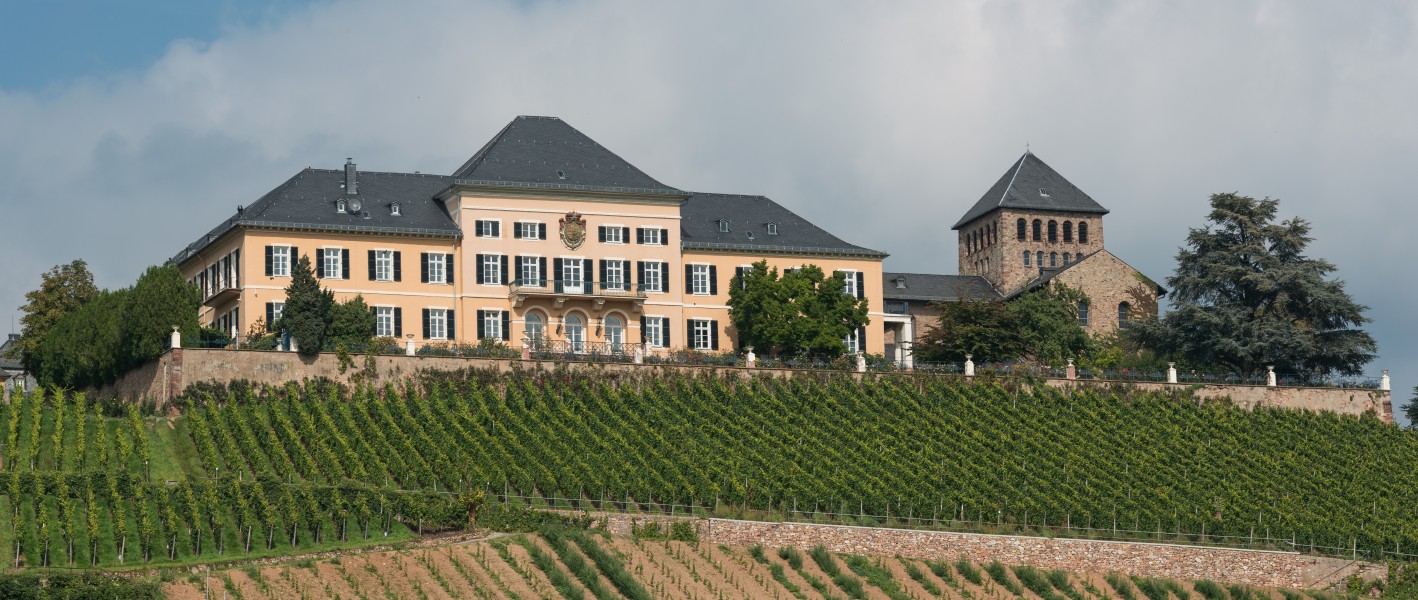 Schloss Johannisberg, South view 20140916 1