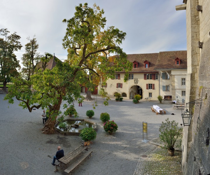 Schloss Lenzburg - Innenhof1