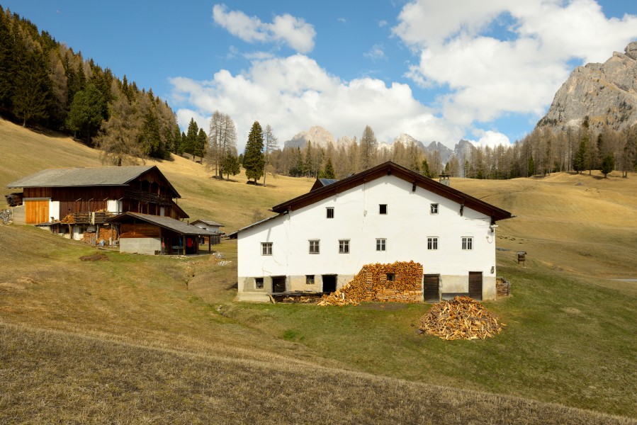 Selva luech de Tubla Gherdeina