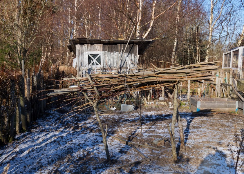 Shed in Dalskogens allotments