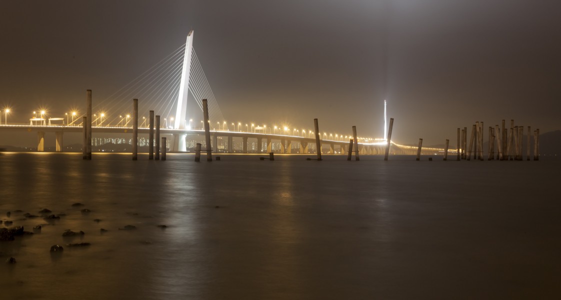Shenzhen Bay Bridge night