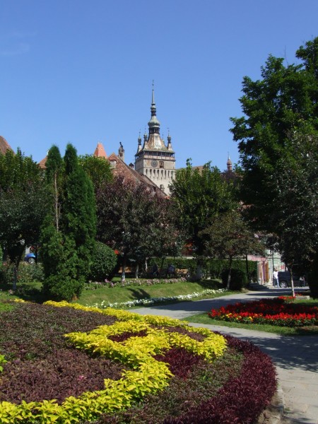 Sighişoara (Schäßburg, Segesvár) - Clock Tower from park