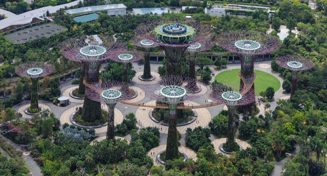 Singapore Supertree-Grove-in-The-Gardens-03
