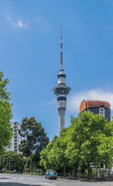 Sky Tower from Mayoral Drive