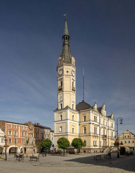 SM Lądek Zdrój Ratusz (2) ID 592806