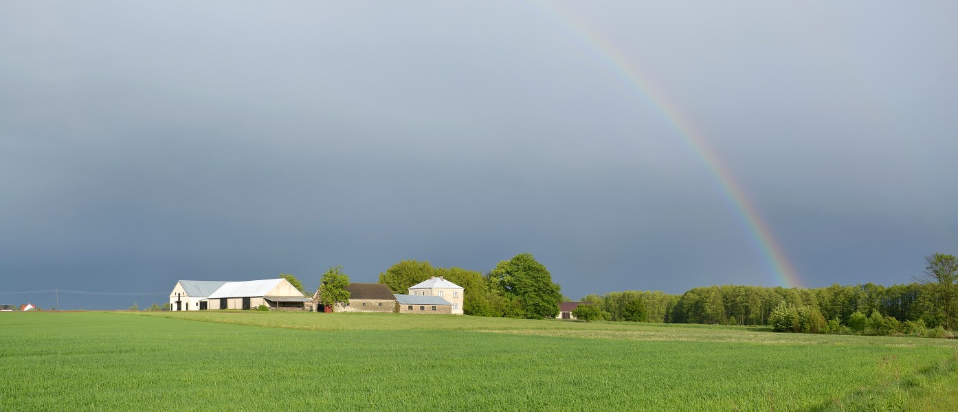 Smogorówka Dolistowska - rainbow