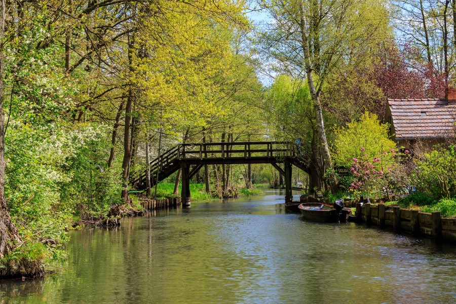 Spreewald 04-2016 img03 canal near Luebbenau
